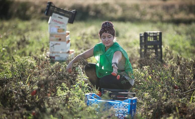 La Comunitat Valenciana genera el 25% del mercat ecològic a Espanya