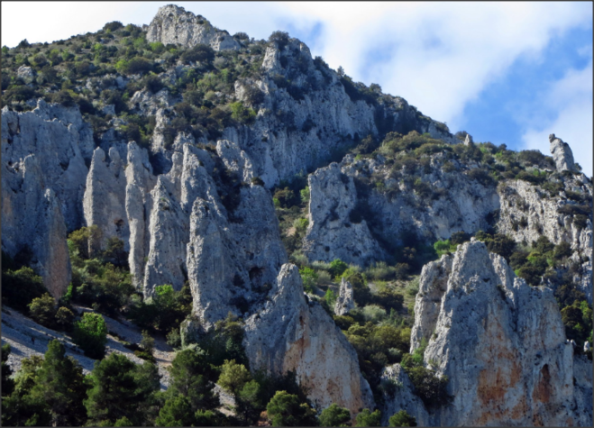 Combinant la tecnologia amb el Medi Rural