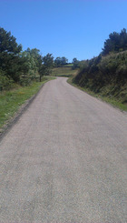 Camí rural