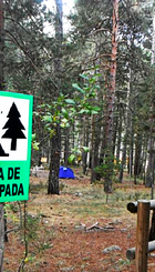 Zona acampada Penyagolosa (Castelló)