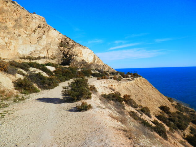 Serra grossa Alicante