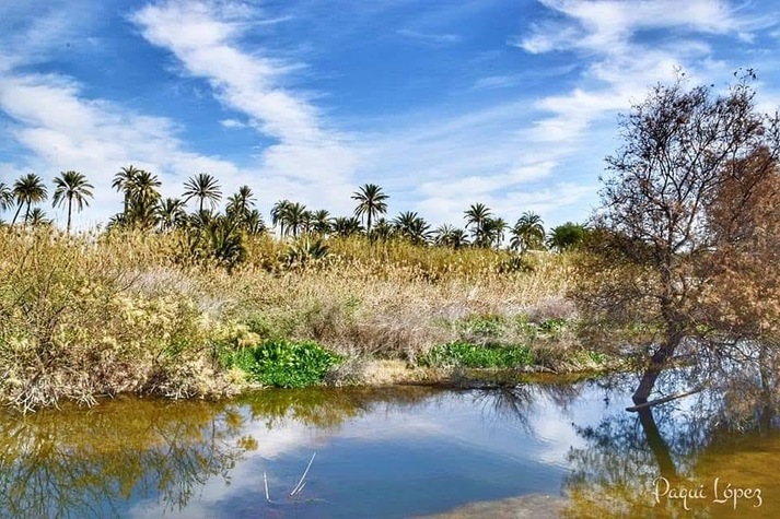 Río_Vinalopó.jpg