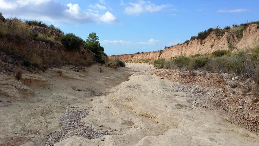Rambla de Rambutxar (San Vicente del Raspeig-Alicante)