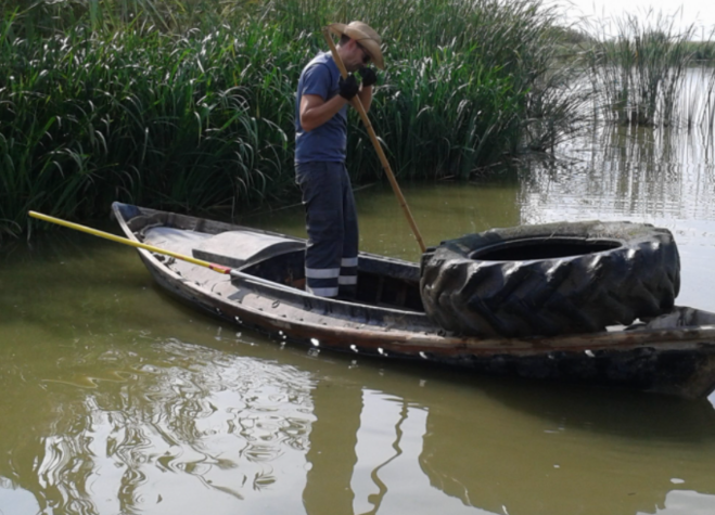 Albufera