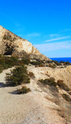 Serra grossa Alicante