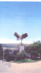Imagen_Memorial_Puerto__1.png