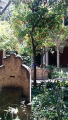 Convento del Carmen - CCCC